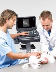 Diagnostický ultrazvuk ECUBE i7 vet